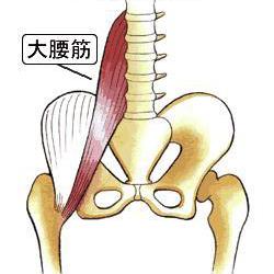 股関節の硬さが原因の腰痛