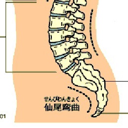 朝起きると痛い腰痛について